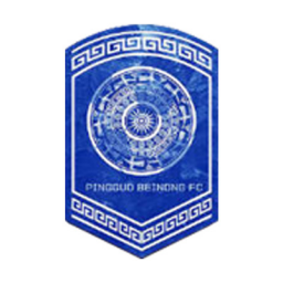 河北雪如意女足